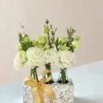 Trastevere - Box de Lisianthus