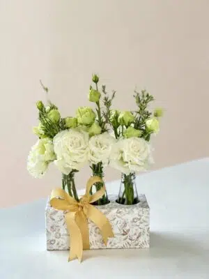 lisianthusbrancos scaled