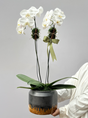 Floricultura Gramado