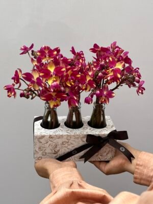 Delivery de flores em Gramado RS