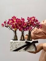 Nexo - Box de Orquídeas Spathoglottis