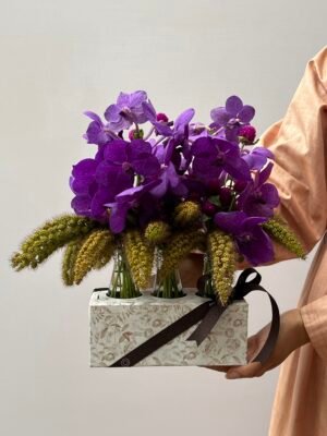 Onde comprar orqudeas em gramado rs