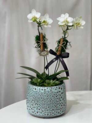 Floricultura Sao Leopoldo