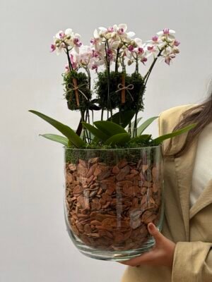 Floricultura em porto alegre 1