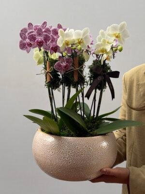 Floricultura em porto alegre RS