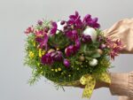 Páscoa em Flor - Arranjo Mini Orquideas - Imagem 2