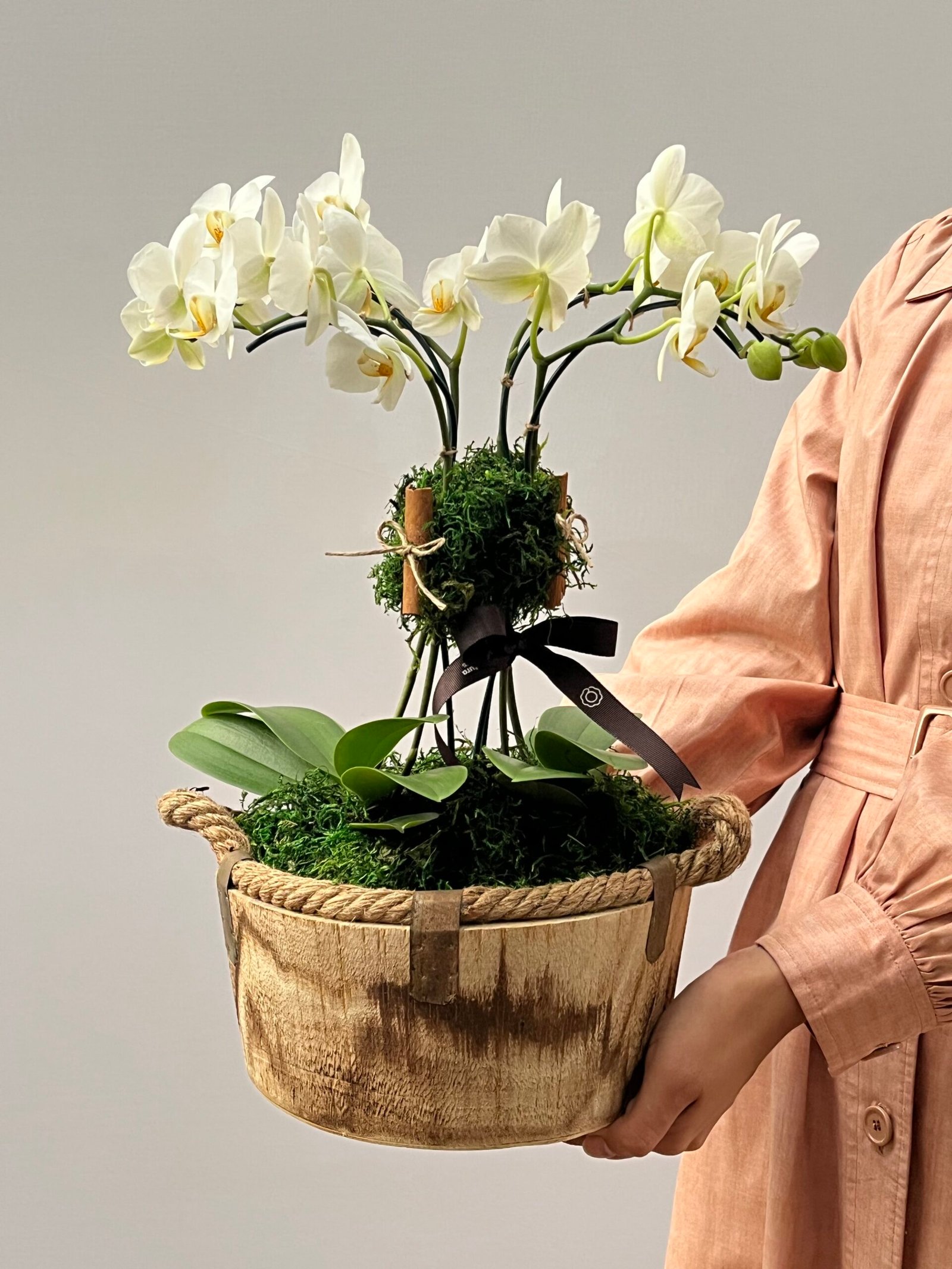 IMG_1710 (1) Sintra - Arranjo de Mini Orquídeas - Imagem 1