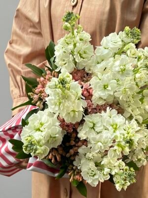 como conquistar uma mulher 1