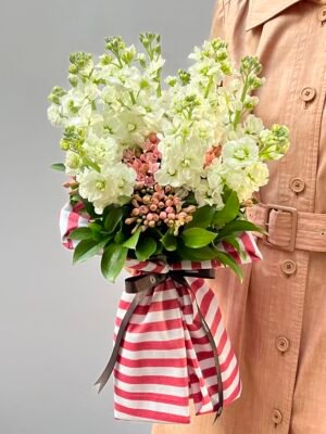 como conquistar uma mulher