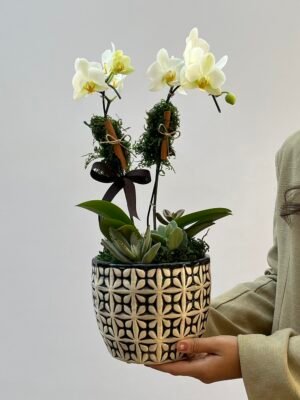 floricultura em Porto Alegre