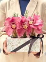 Encanto Imperial - Box de Cymbidium Cor-de-Rosa