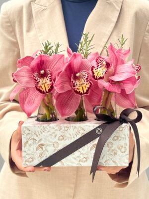 Box de orquidea Porto Alegre Floriculturas perto de mim