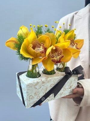 IMG 2864 1