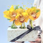 Brisa de Monet - Box de Orquídeas Cymbidium