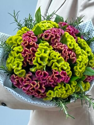 Buque de Celosias Porto Alegre Floriculturas perto de mim 2