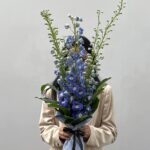 Atlas Azul - Buquê de Delphinium