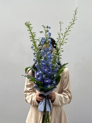 Buque de Delphinium azul Porto Alegre Arquitetura das flores