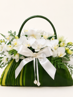 bolsa de mini orquídeas phalaenopsis