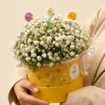 box de gypsophylas