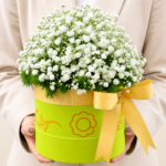 box flower (2)