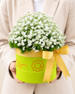 box flower (2)