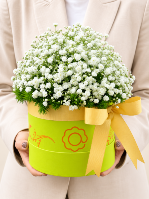 box flower (2)