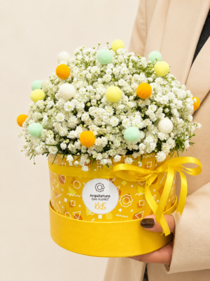 box flower com gypsophilas