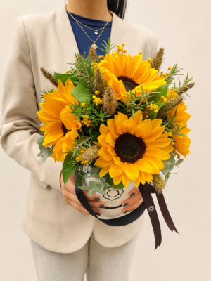 box flower de girassois