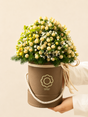 box flower de hiperico