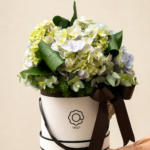 box flower de hort}ensia azul