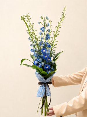buquê de delphinum azul