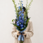 floricultura em porto alegre; floricultura no bairro são joão em porto alegre; floricultura na independência em porto alegre; floricultura na protásio alves em porto alegre; delphinium
