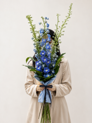 floricultura em porto alegre; floricultura no bairro são joão em porto alegre; floricultura na independência em porto alegre; floricultura na protásio alves em porto alegre; delphinium