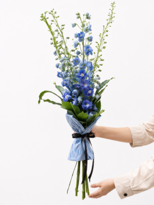 floricultura em porto alegre; floricultura no bairro são joão em porto alegre; floricultura na independência em porto alegre; floricultura na protásio alves em porto alegre; delphinium