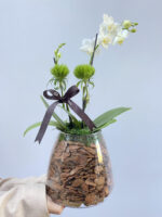 orquídea branca vaso transparente