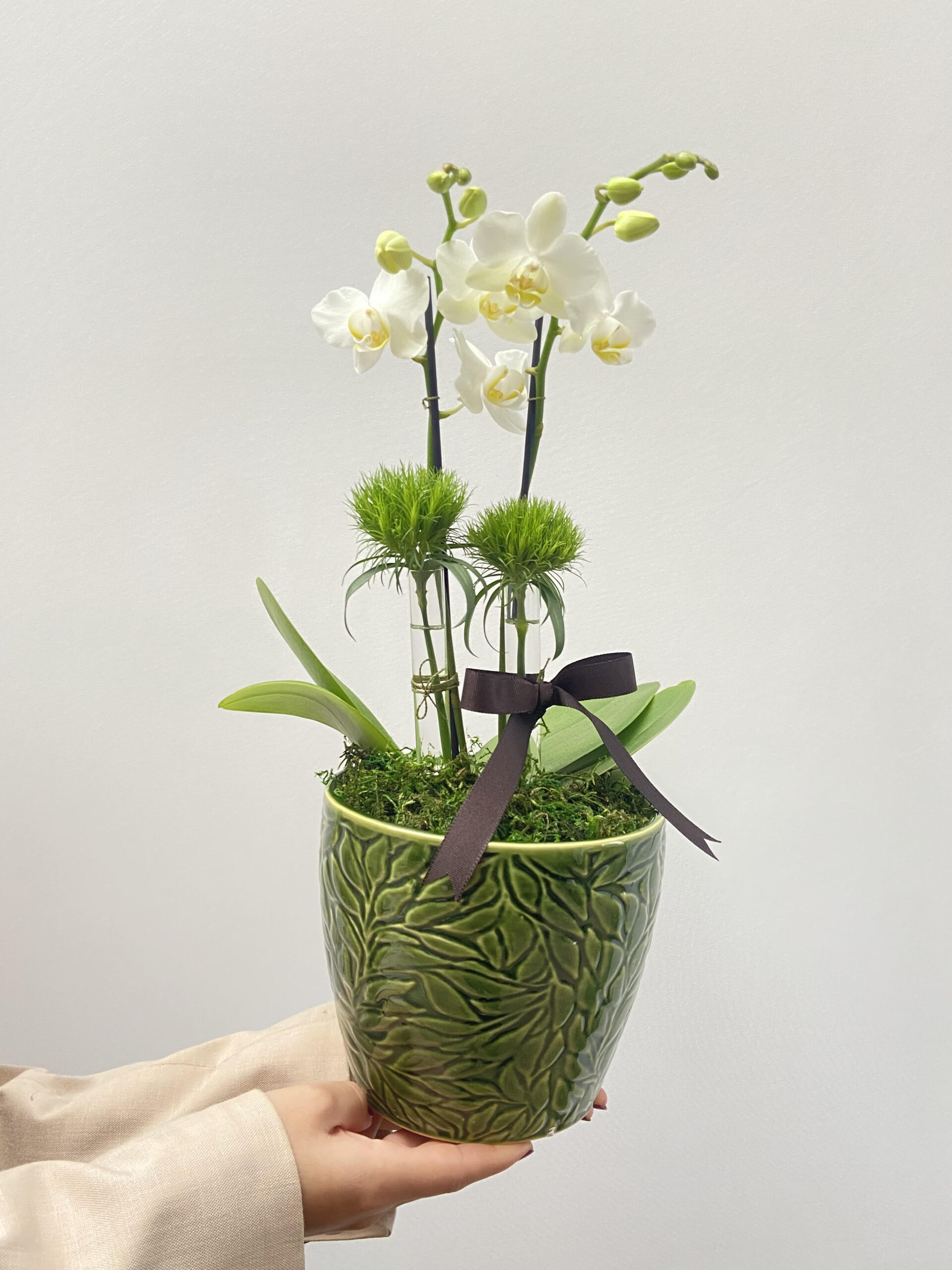 orquideas brancas, porto alegre, floriculturas perto de mim orquideas brancas, porto alegre, floriculturas perto de mim