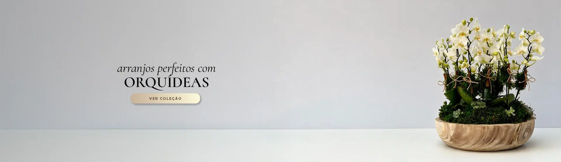 Banner Orquídeas
