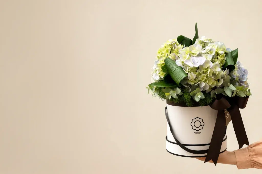 Hortênsias: a rainha do inverno que dura mais e impressiona mais