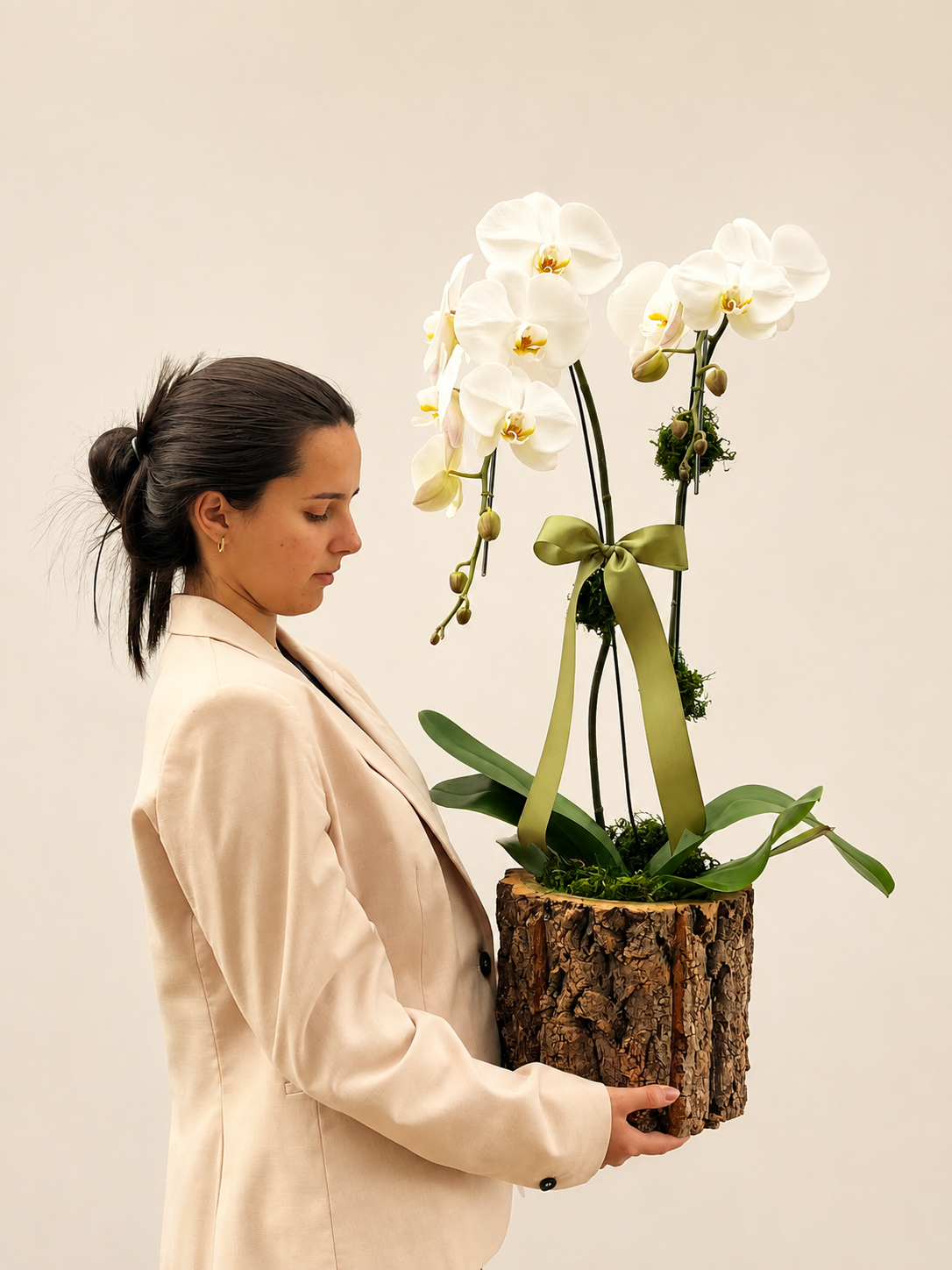 mini orquídea phalaenopsis (11) mini orquídea phalaenopsis (11)