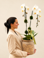 mini orquídea phalaenopsis (12)