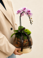 mini orquídea phalaenopsis (6)