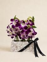 orquídea denphal