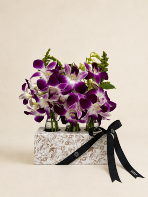 orquídea denphal