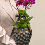 arquitetura das flores
