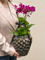 arquitetura das flores