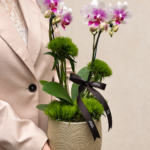 delivery de orquídea phalaenopsis emportoalegre rs