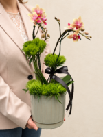 mini orquídea phalaenopsis