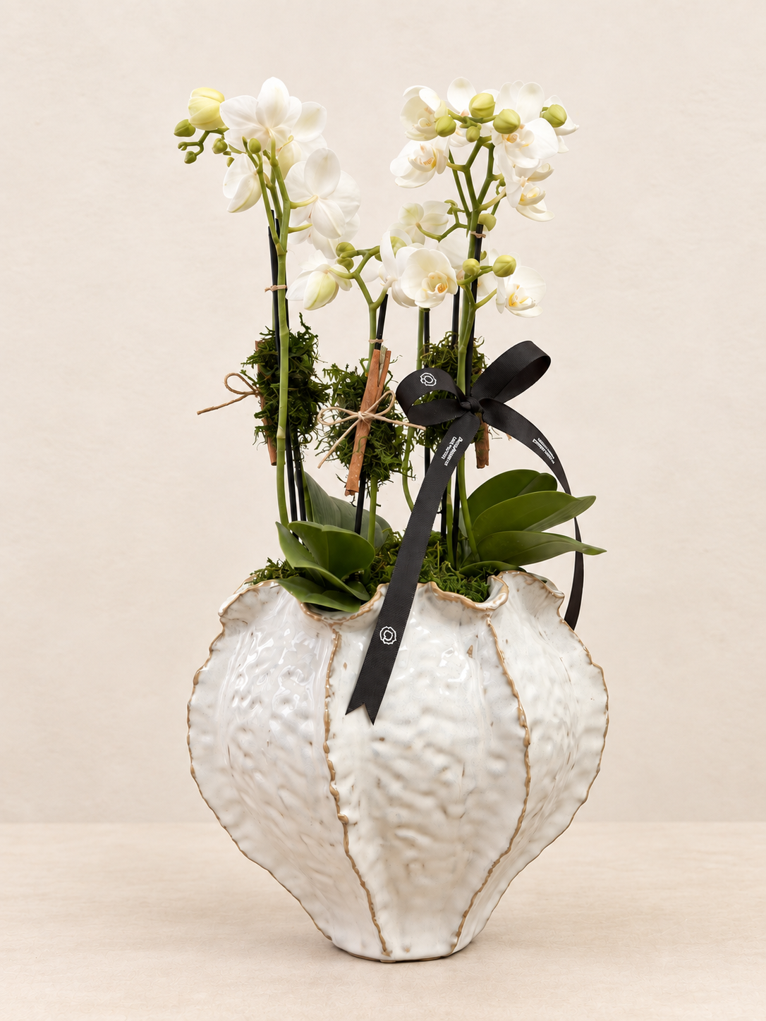 orquídeas (2) orquídeas (2)