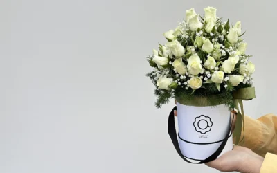 Presente para médico no Dia do Médico: por que flores brancas, quais escolher, onde entregar e o cuidado com o 18 de outubro num domingo.
