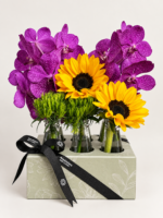 vanda